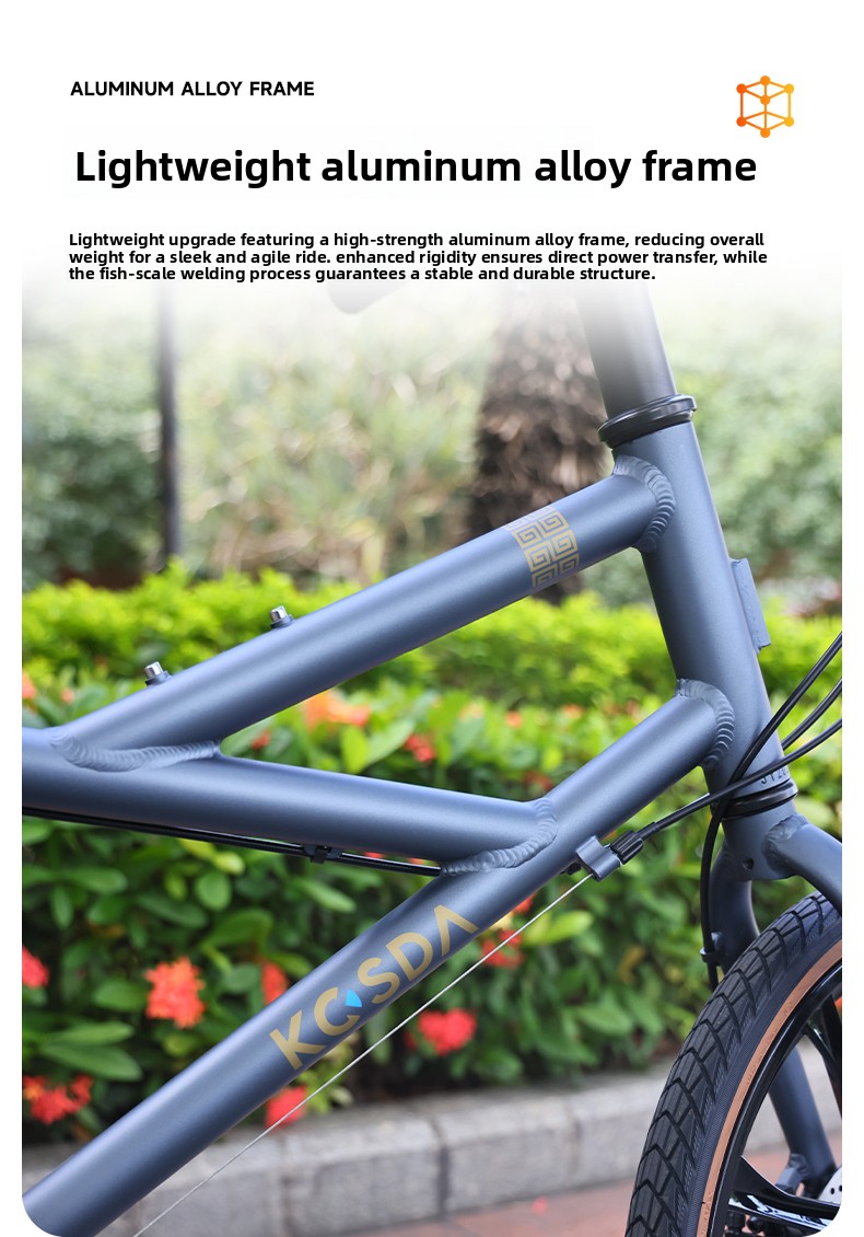 20Inch Aluminum Alloy Ultra-li - Cycling Commute Speed 评论和价格