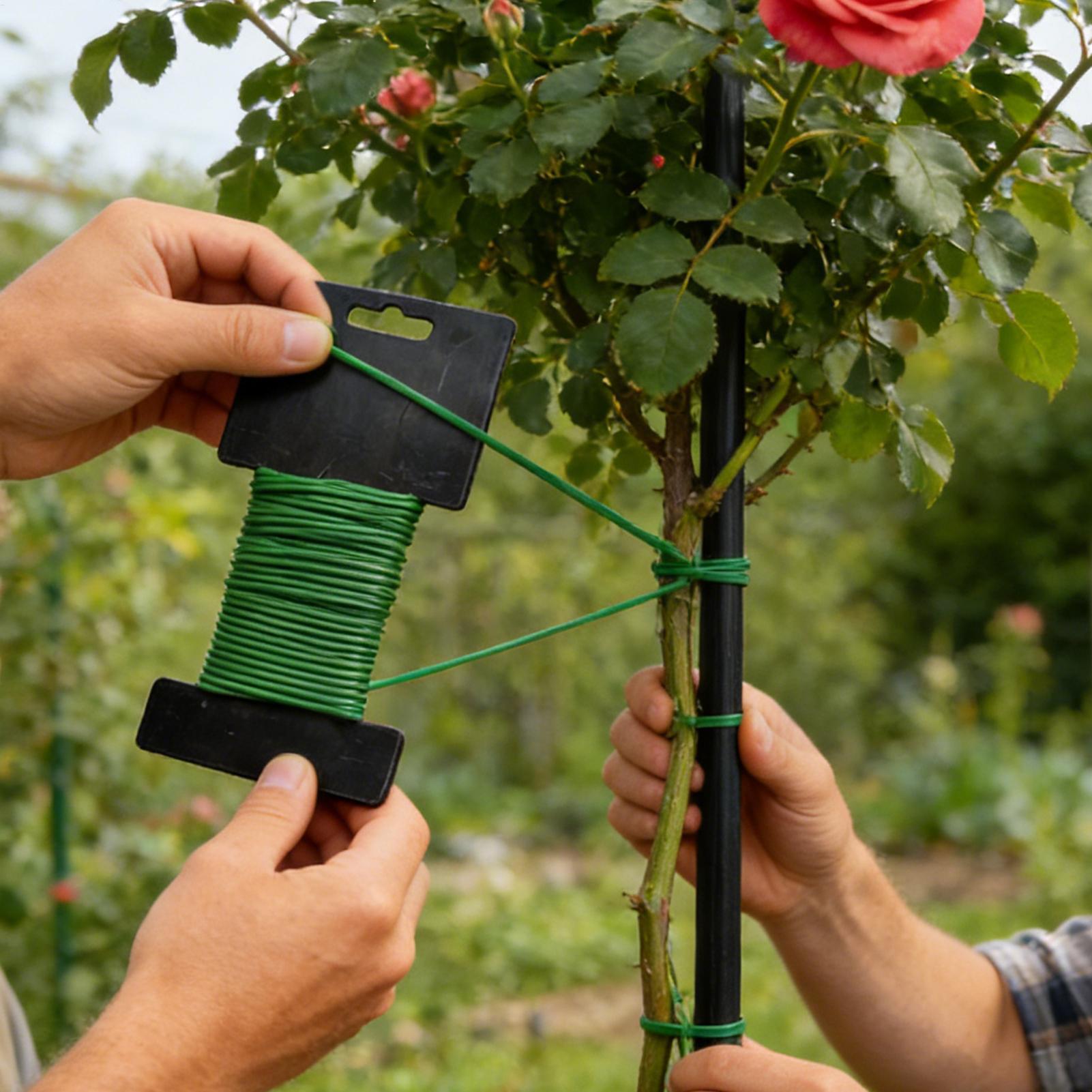 10m Gardening Ties Plant Suppo - Cable Lock Flexible 评论和价格