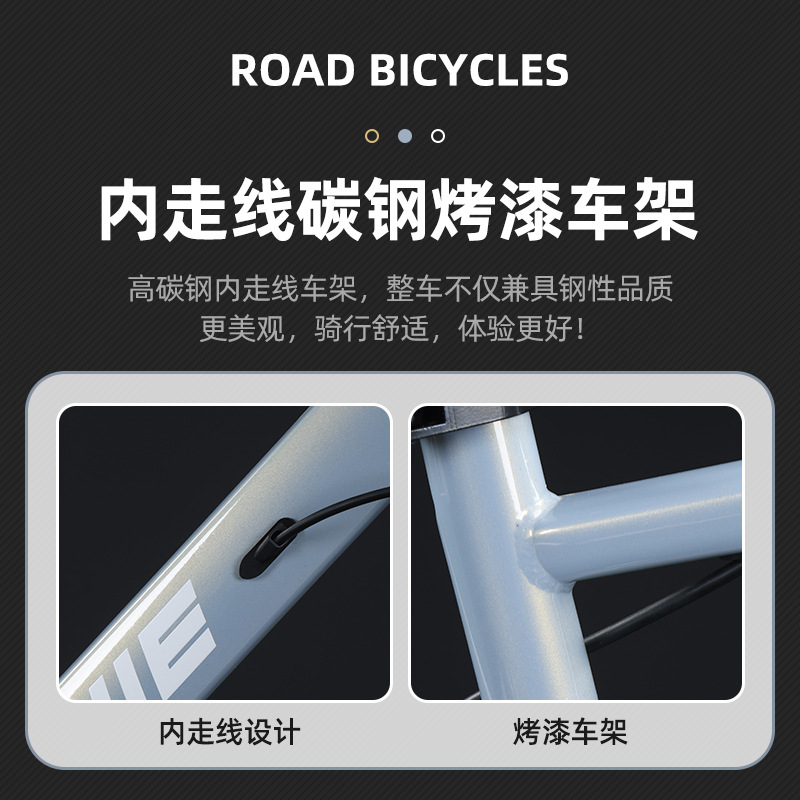 Variable Speed Road Bike Inter - Cycling Commute Speed 评论和价格